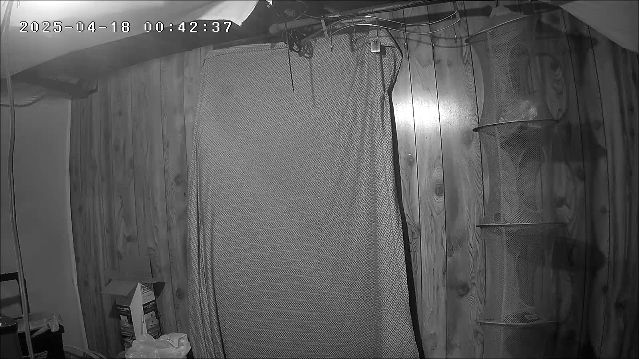 Something in the boiler room wtf is that🫢