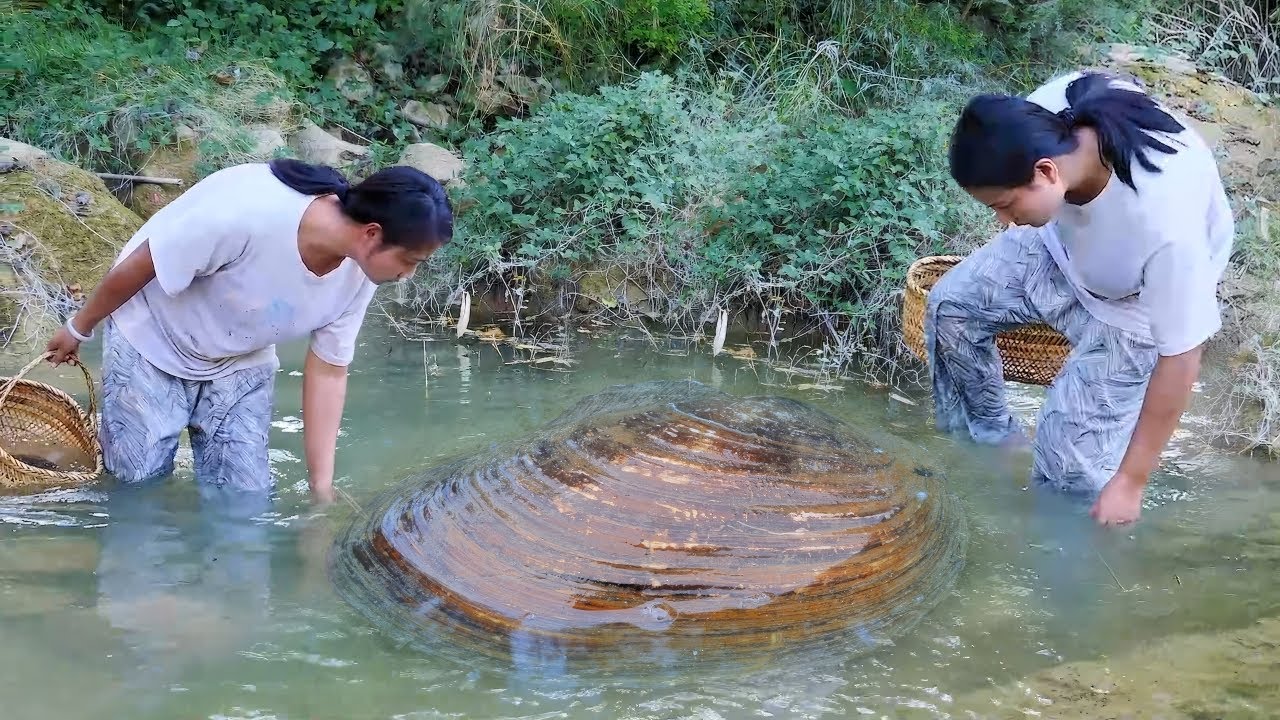 The girl discovered a clam that had been dormant for a hundred years and gained sudden wealth