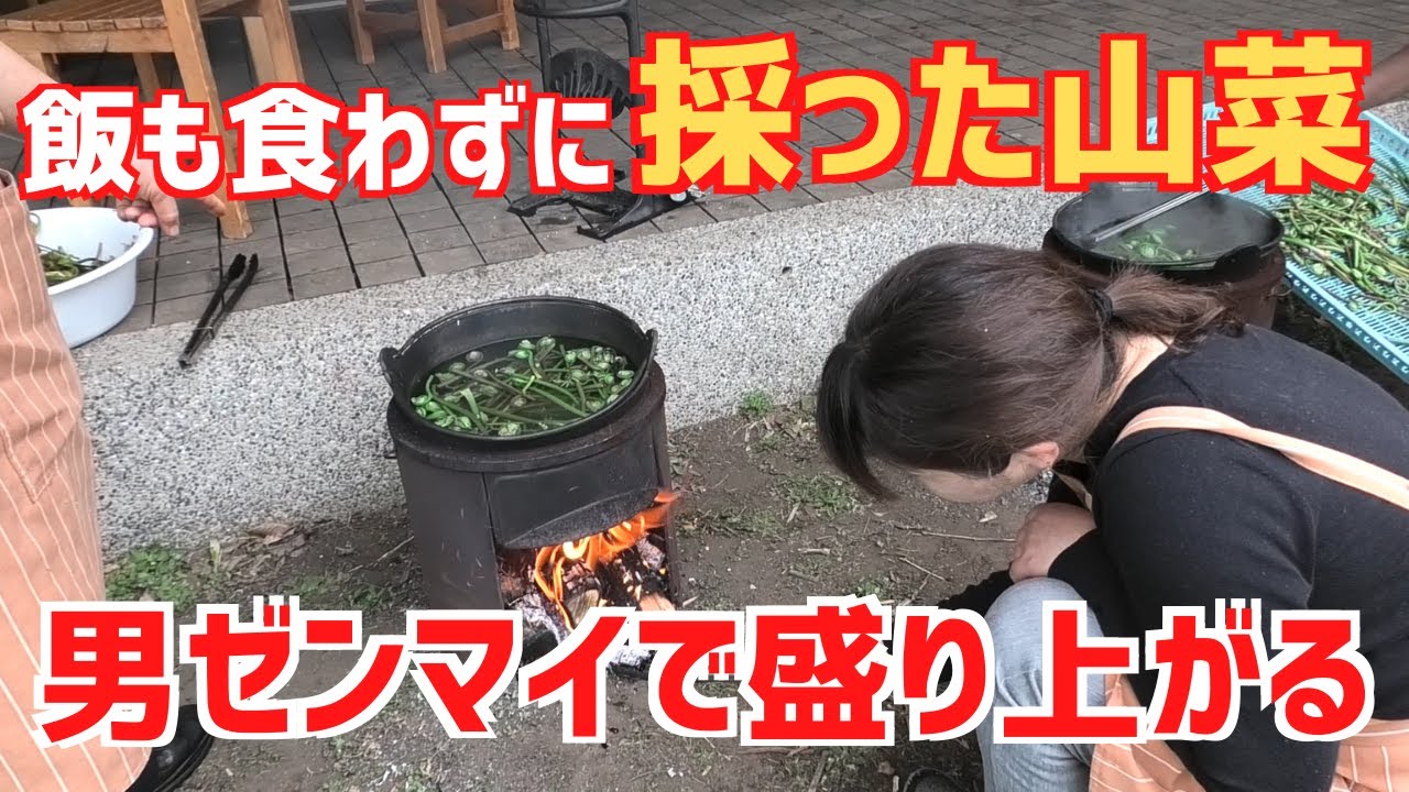 季節の山菜を下ごしらえする！男ぜんまいはキン〇マゼンマイ！