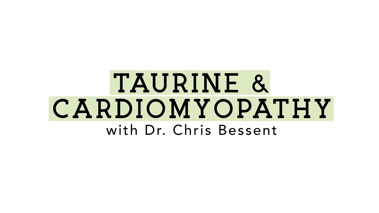 Taurine & Cardiomyopathy with Dr. Chris Bessent