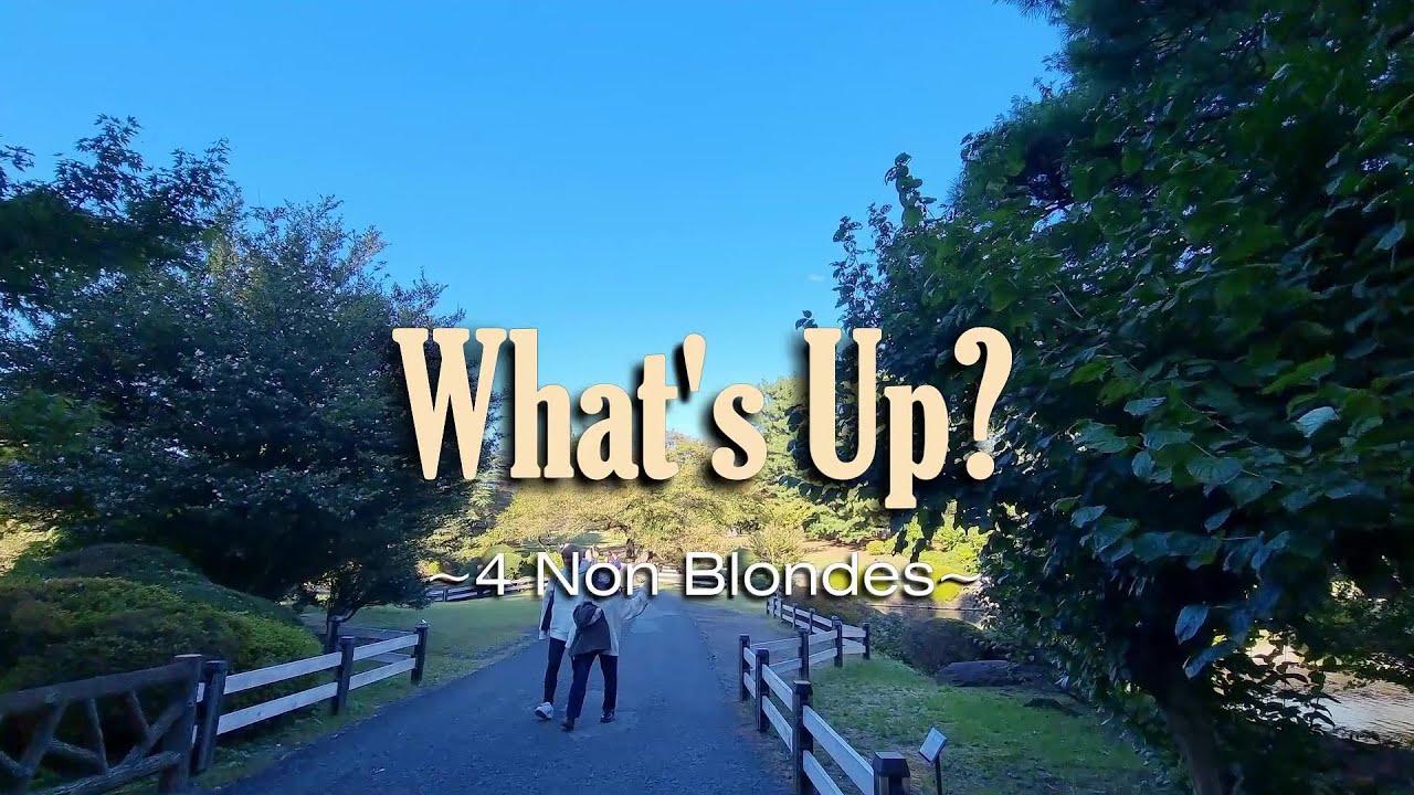 What's Up? - KARAOKE VERSION - in the style of 4 Non Blondes