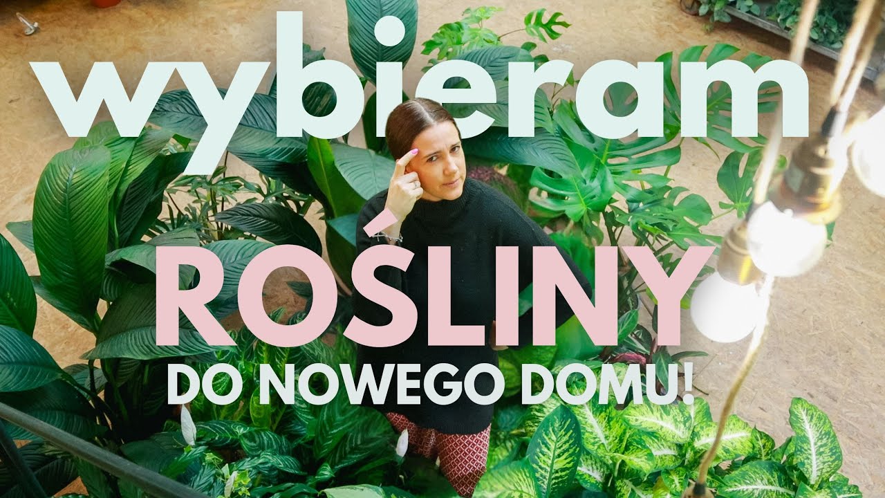 Wybieram Rośliny Do Nowego Domu 🪴🪴🪴 Moje Top 5 DUŻYCH ROŚLIN 🌱