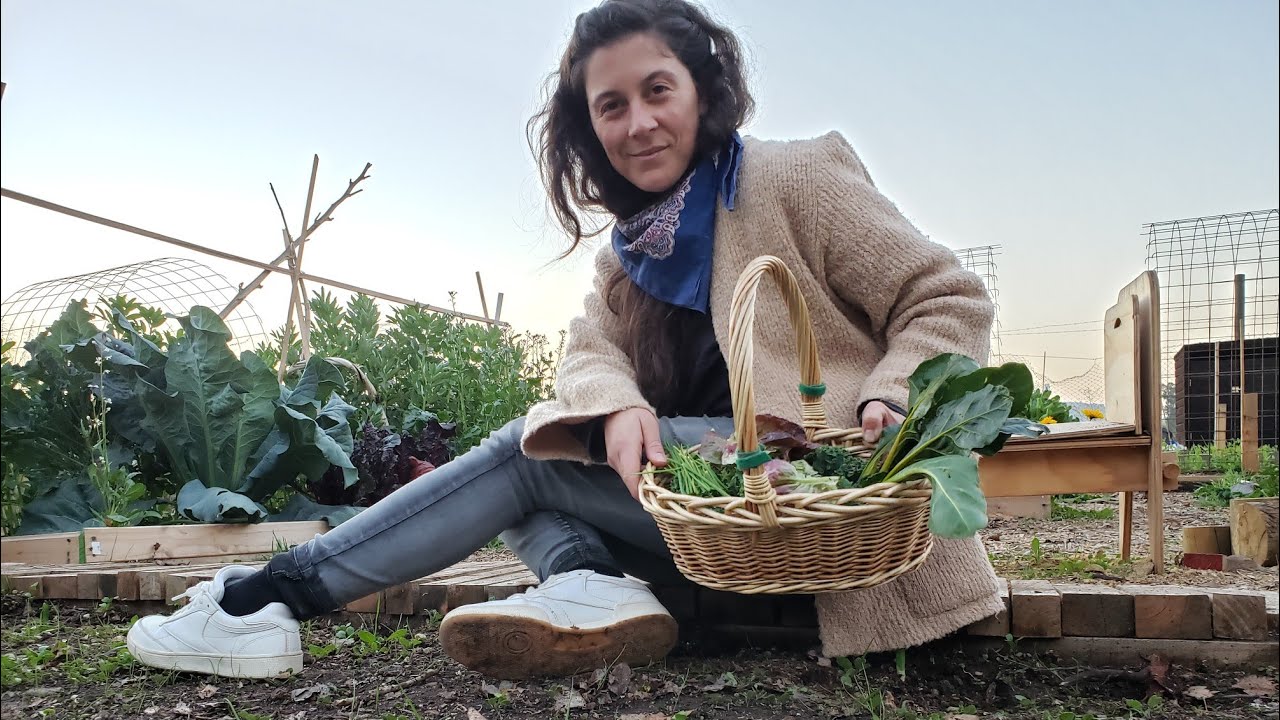 VLOG | 3 días en el Huerto. La coliflor gigante y la Puerta Nueva. Huerto en Invierno