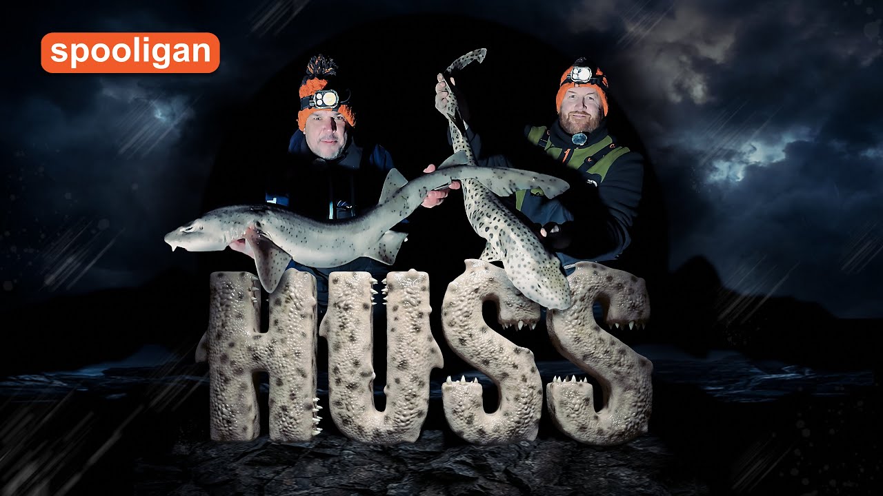 Spooligan Fishing - On The Huss - Sea Angling for Bull Huss