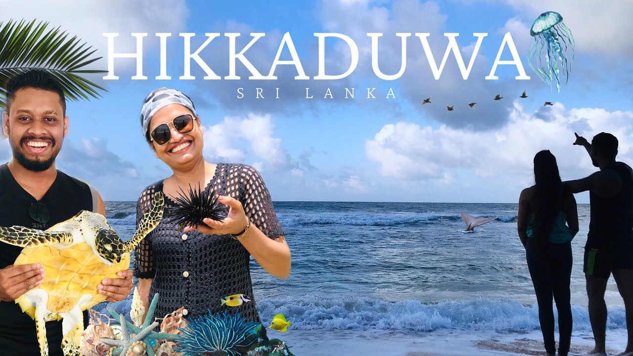 Hikkaduwa | හික්කඩුව | Refresh Blue Hotel | Galle | Down South | Sea Food |English Subtitles