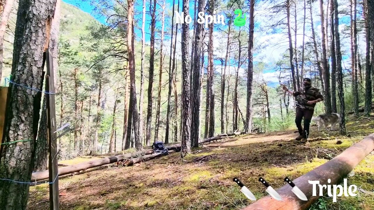 THROWING TRIPLE KNIVES 🐍