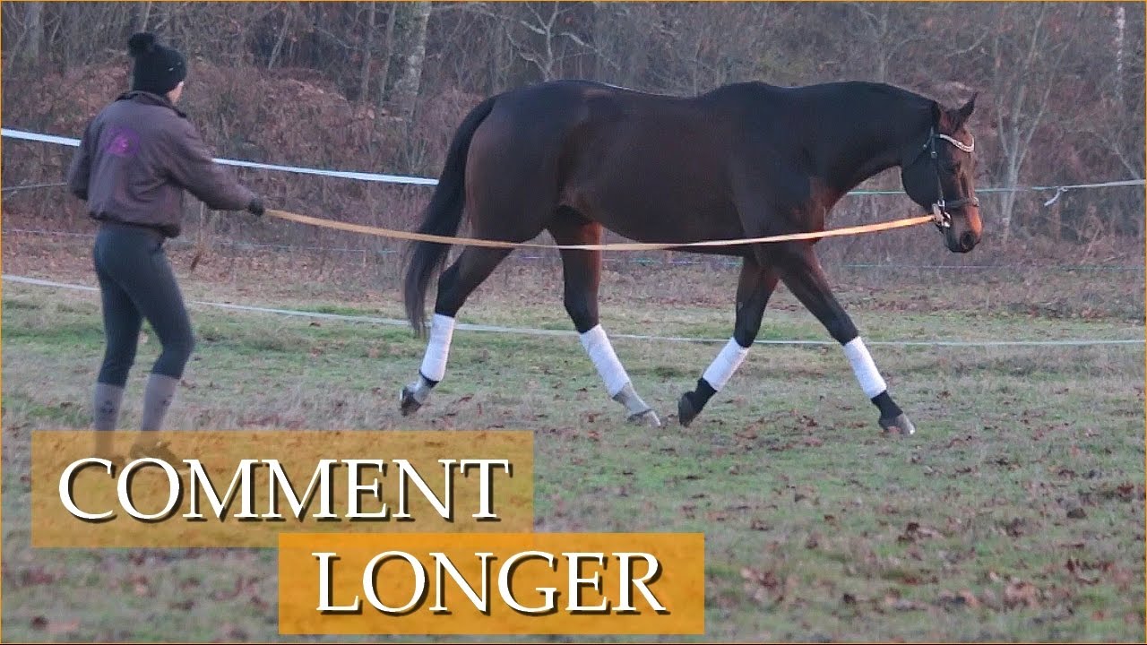 LONGER SON CHEVAL - Comment faire ?
