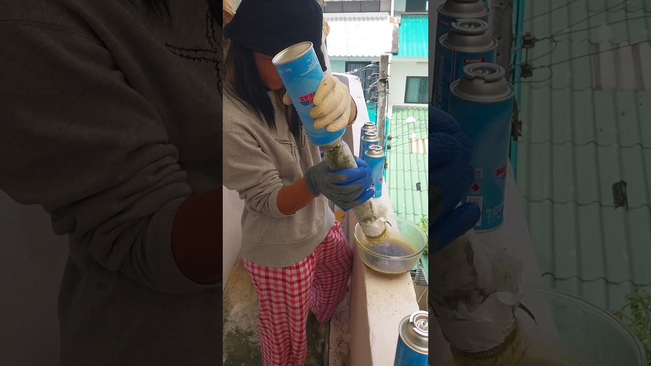 BHO open blast class with new Thai trainee oil tane THCA