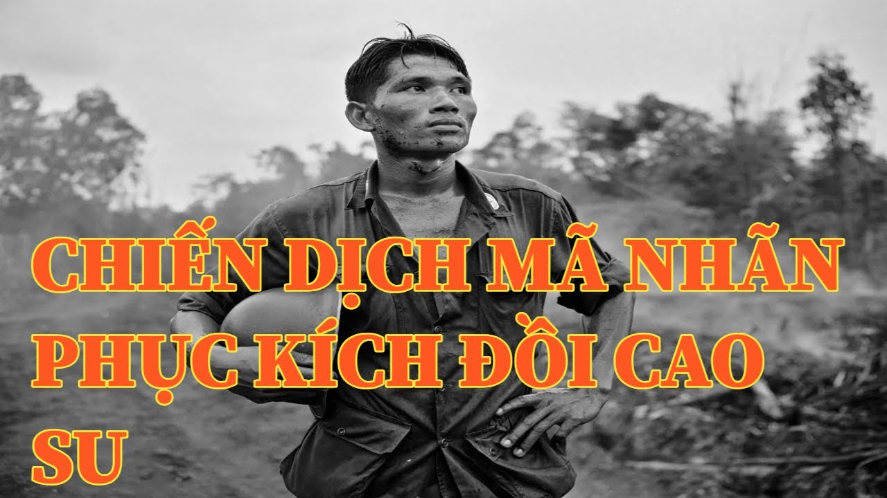 CHIẾN DỊCH MÃ NHÃN - PHỤC KÍCH ĐỒI CAO SU || Câu Chuyện Sài Gòn