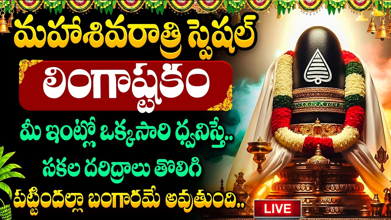 LIVE🔴మహాశివరాత్రి రోజు 