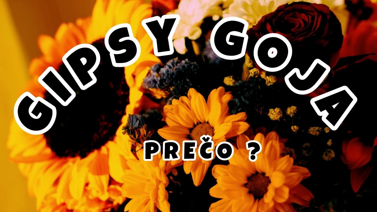 Gipsy Goja - Prečo ?