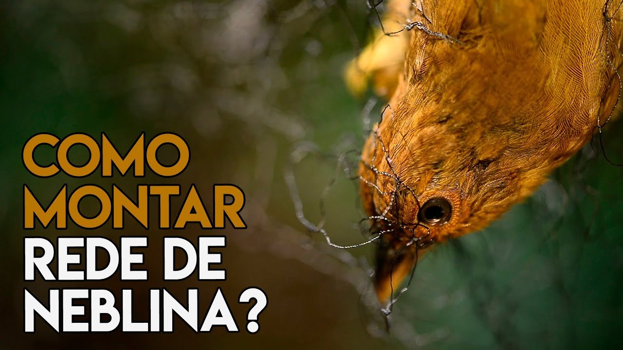 APRENDA A INSTALAR AS REDES DE NEBLINA | Rock in Bio #7