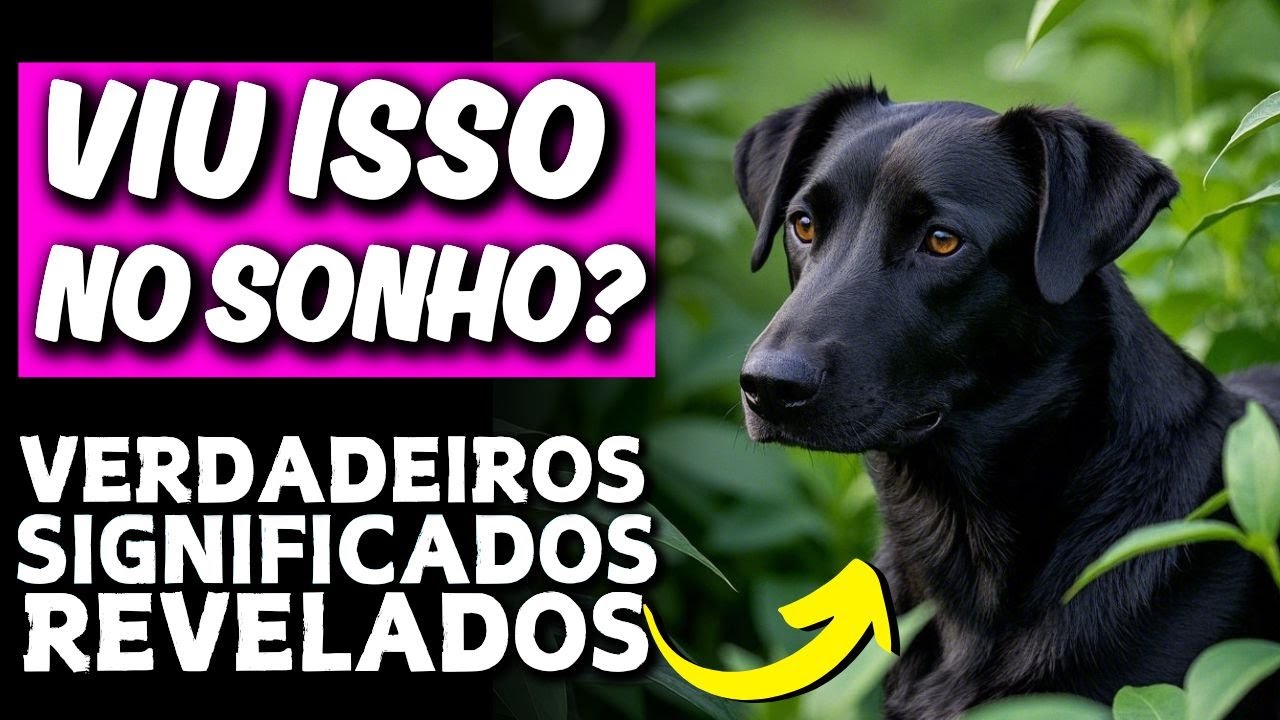 O Que Significa Sonhar Com Cachorro Preto | TODO CUIDADO NESSE SONHO