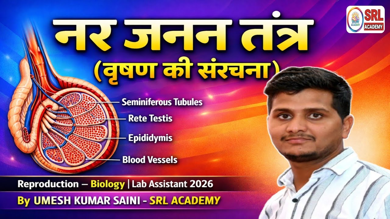 Male Reproductive System | Part-1| Structure of Testis | NCERT | Biology | RSMSSB Lab Assistant 2026