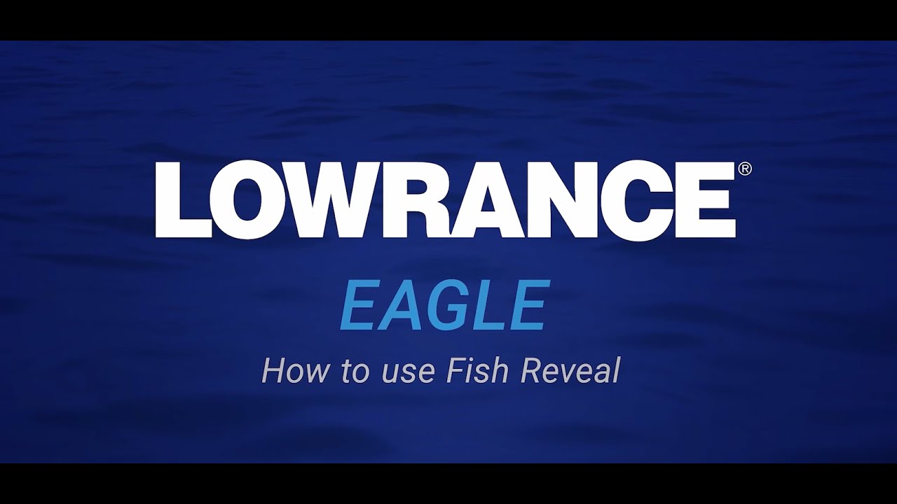 Lowrance Eagle Series 5, 7, and 9: DownScan FishReveal Feature