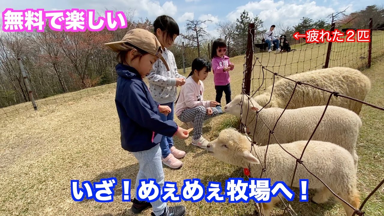 関西の無料ふれあい動物園へ行って来ました！！