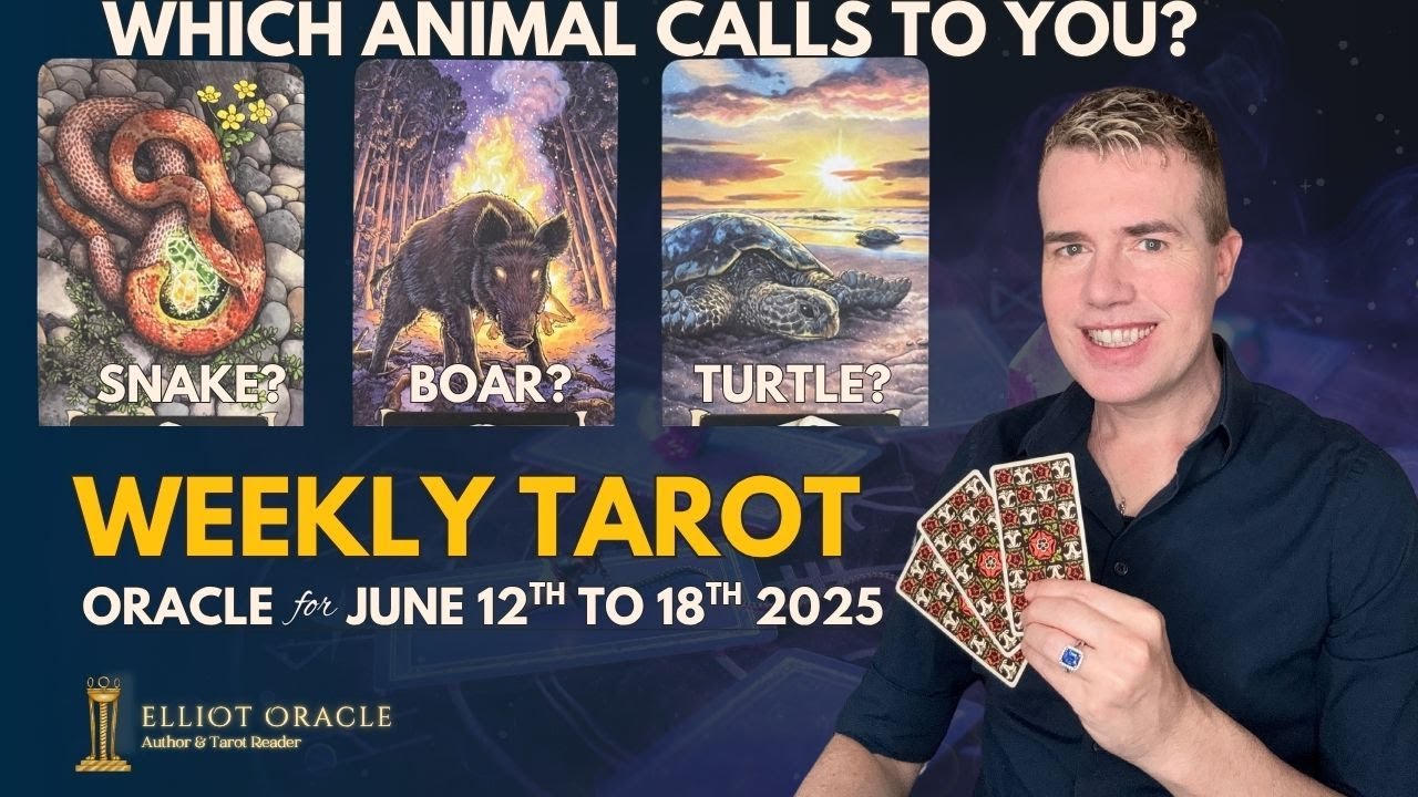 Tarot Pick a Card Reading 🐍🐗🐢   @ElliotOracle