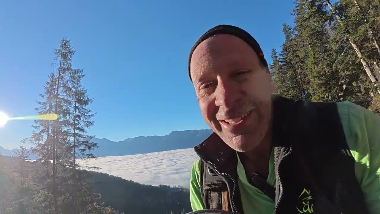 Holzfällung im Steilhang / MS 261 Husky 562 und UniVal Fällkeil