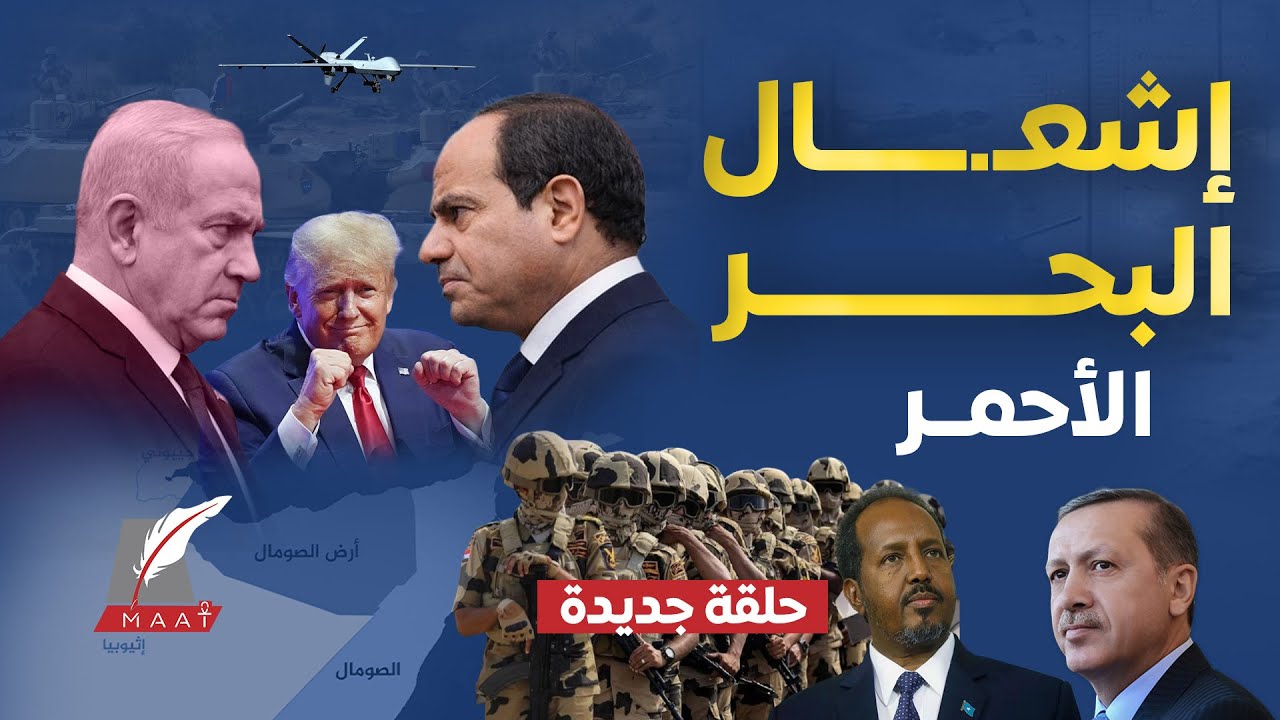 عاجل..أول تحرك من مصر بعد اعتراف إسرائيل بأرض الصومال!تصريح يزلزل لتركيا!ترامب يدخل على الخط 