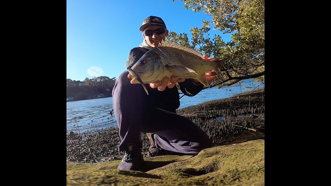 Sydney Bream on Soft Plastics | Georges River Fishing