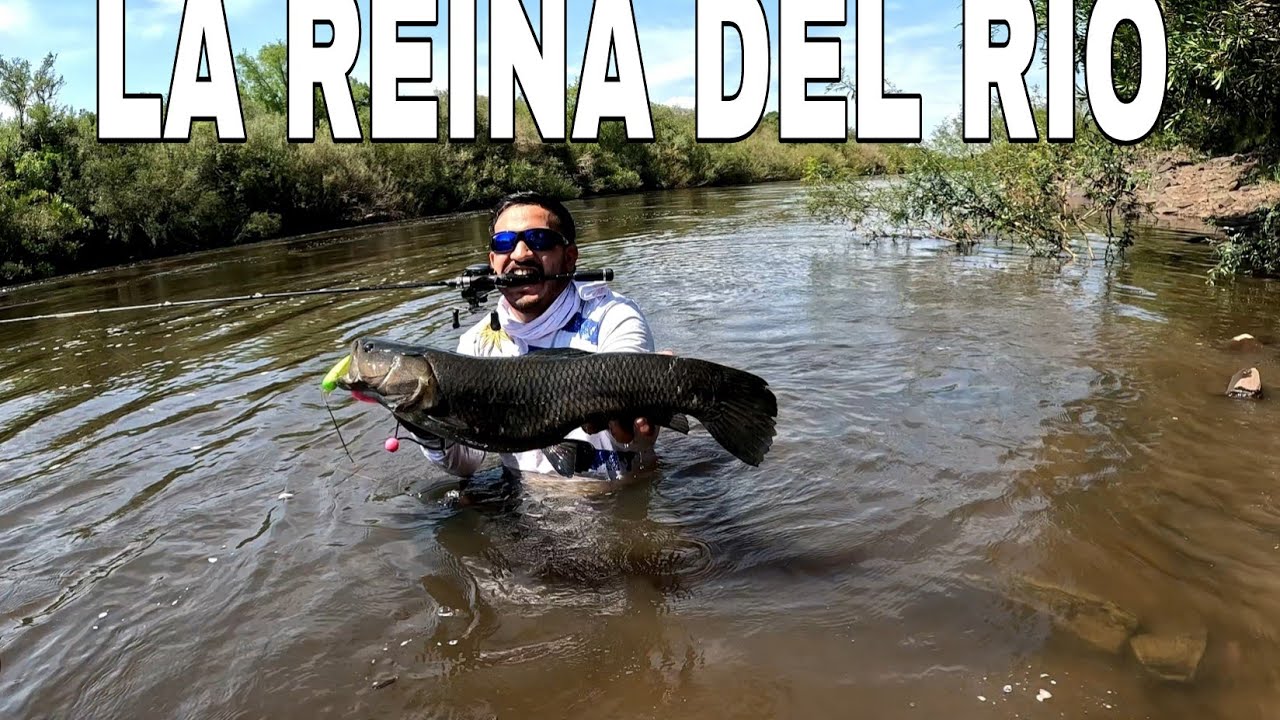 💥LA REINA DEL TACUAREMBO 🔥