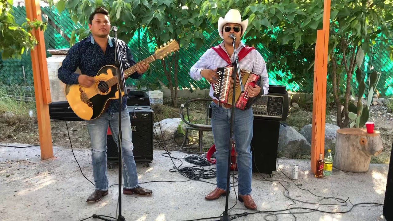 El gallo de San Juan