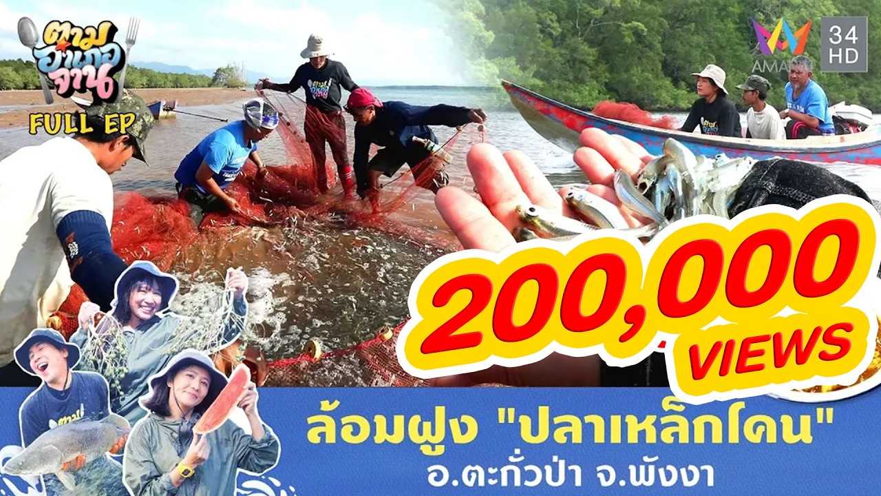 ล้อมฝูง 