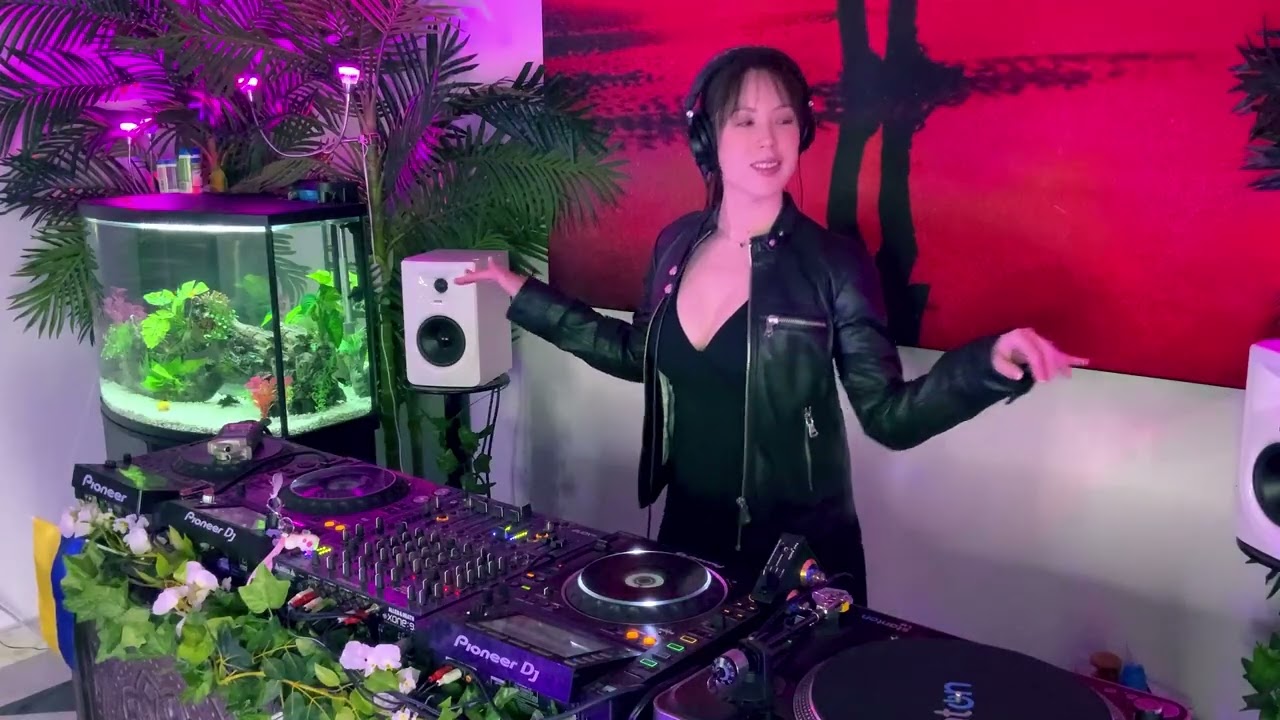 Evelynka Live Mix from San Juan PR - 2022