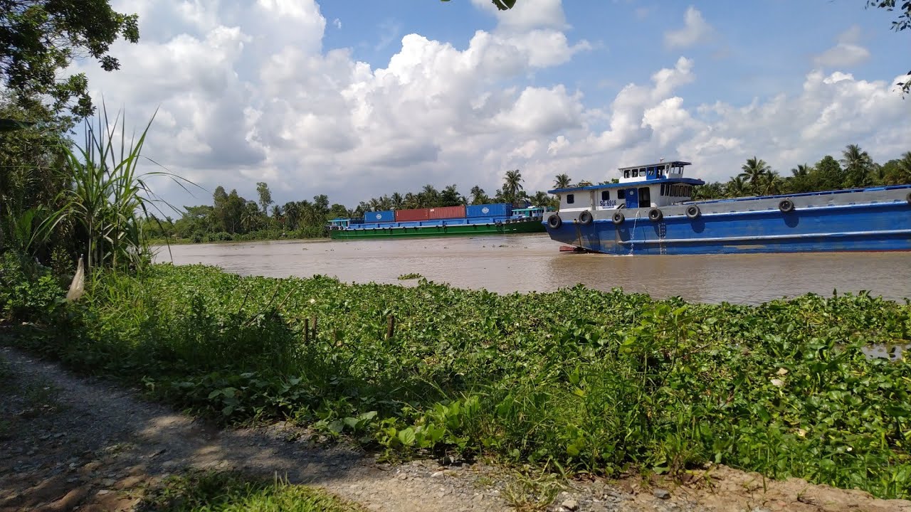 NHÀ VƯỜN DT: 4.748 M2. GIÁ MỚI : 1,7TỶ . XUÂN HIỆP TRÀ ÔN VĨNH LONG. ĐT: 0911464445.