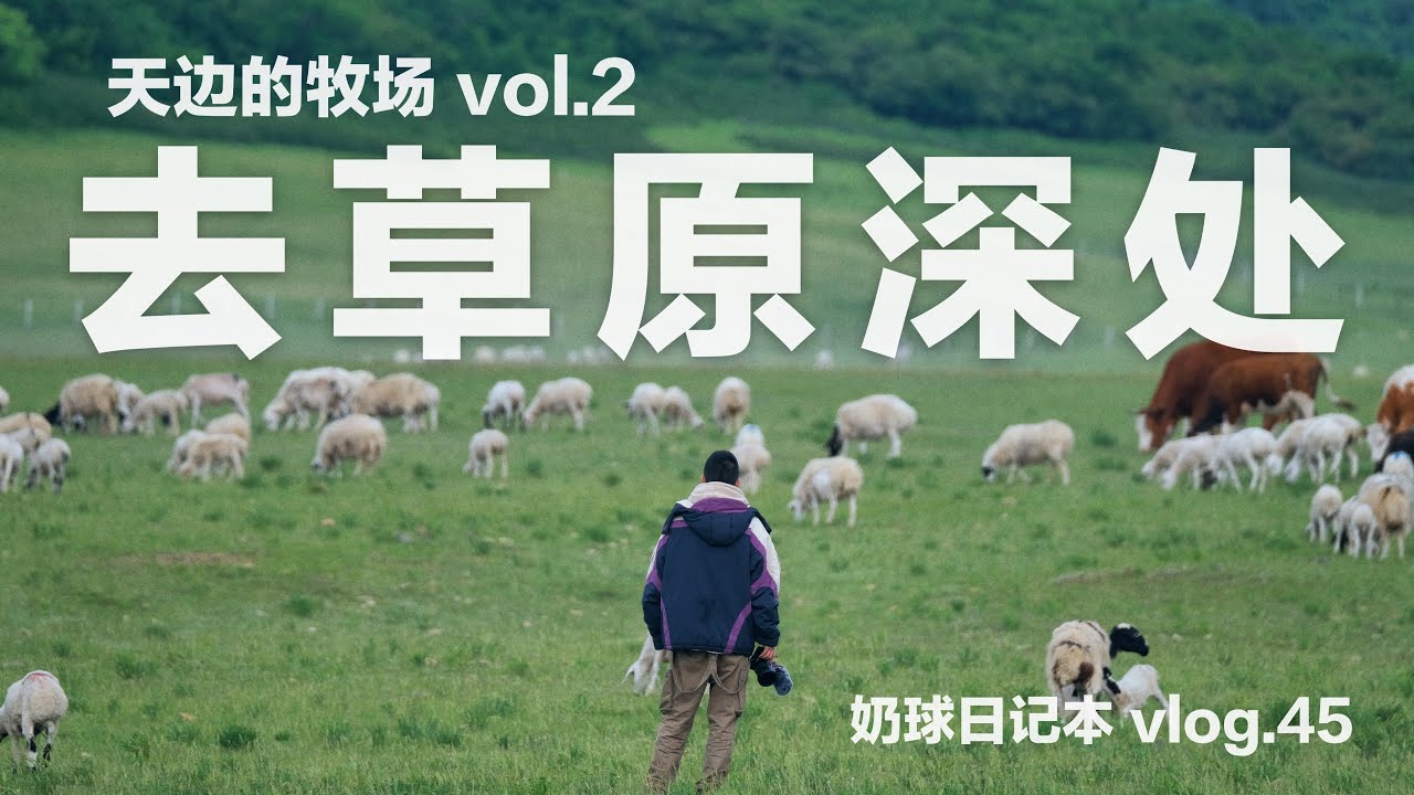 与蒙古族牧民一起转场｜vlog.45