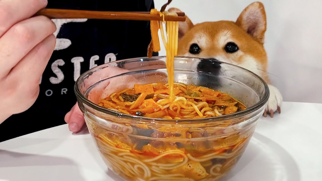當柴犬遇到螺螄粉...
