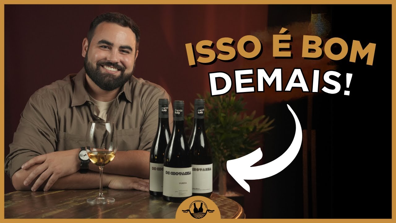 VINHOS ITALIANOS QUE VOC&Ecirc; VAI AMAR CONHECER!