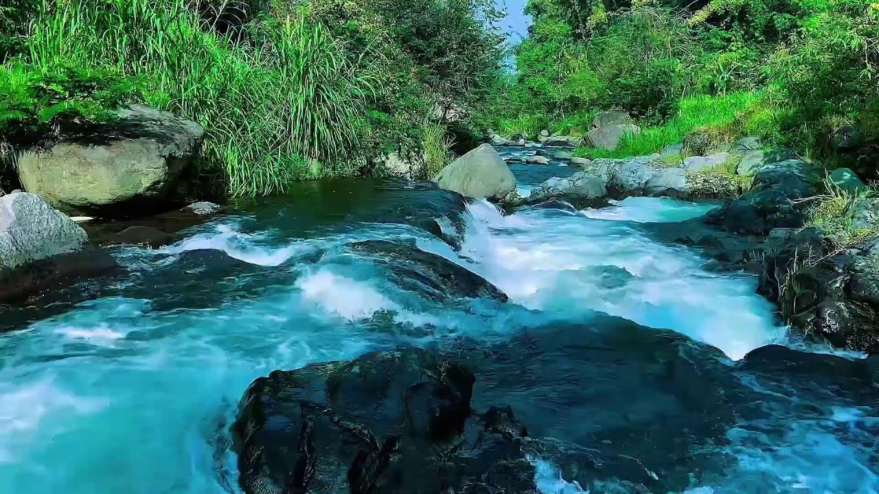 Flowing Mountain Stream Sounds, Forest River Calm Water, Sleep