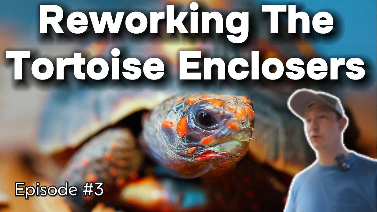 Welcome To The Wildest Basement - Merry Christmas!