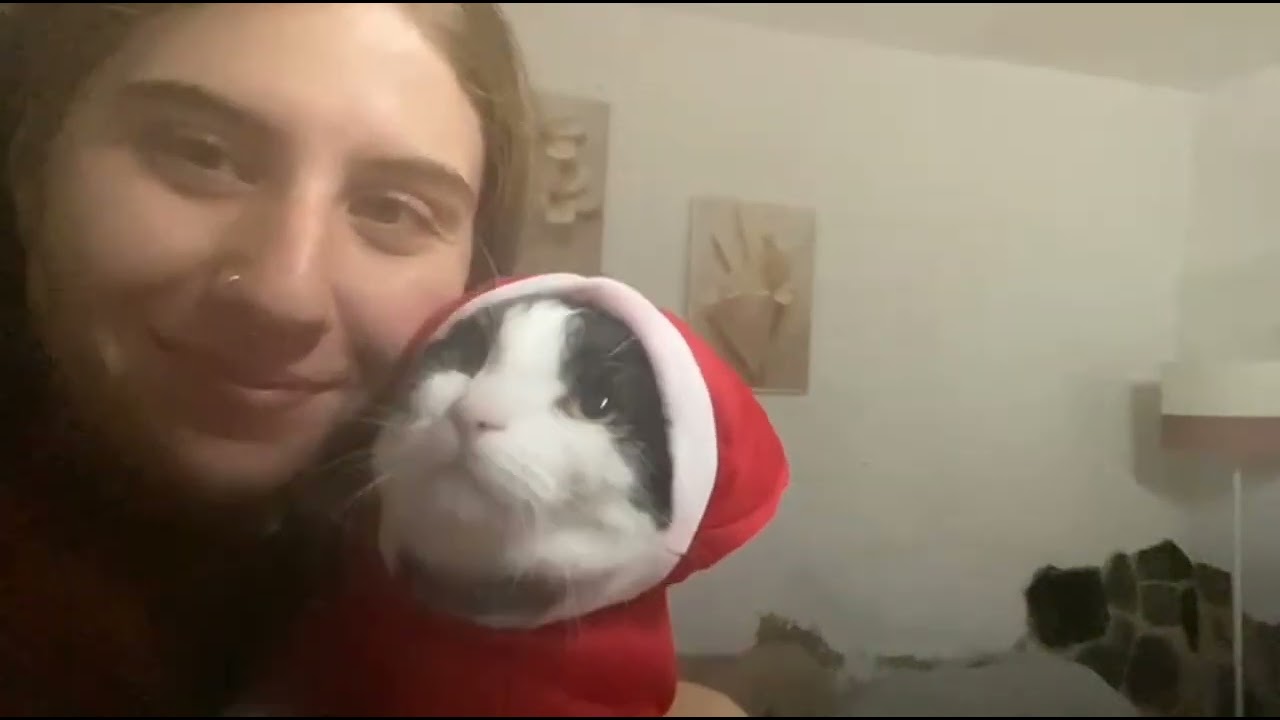 Voy a poner el albor de Navidad. 