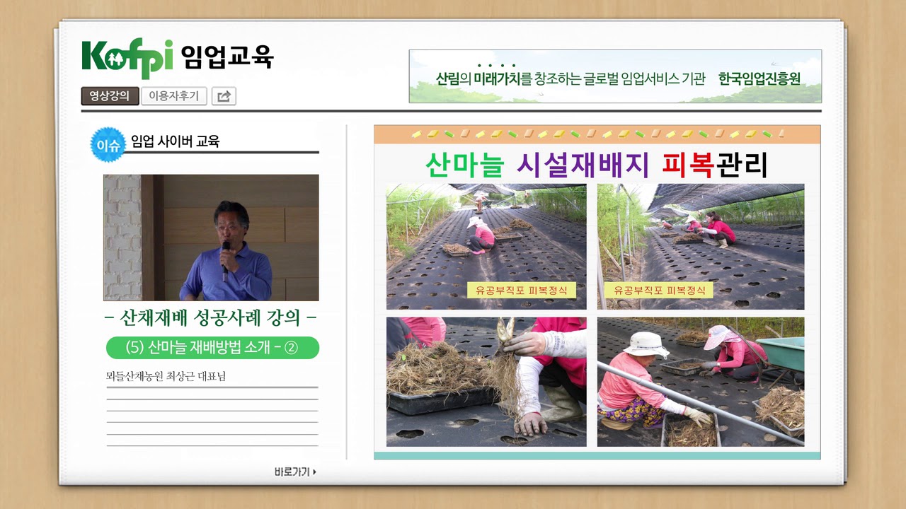 [산채] 산마늘 재배방법 소개2