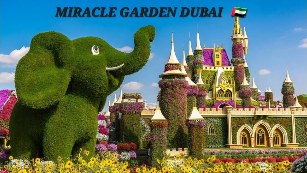 LAST PART | MIRACLE GARDEN DUBAI | AMAZING NATURAL FLOWERS GARDEN 2025 @homeskitchenuae5009 #dubai