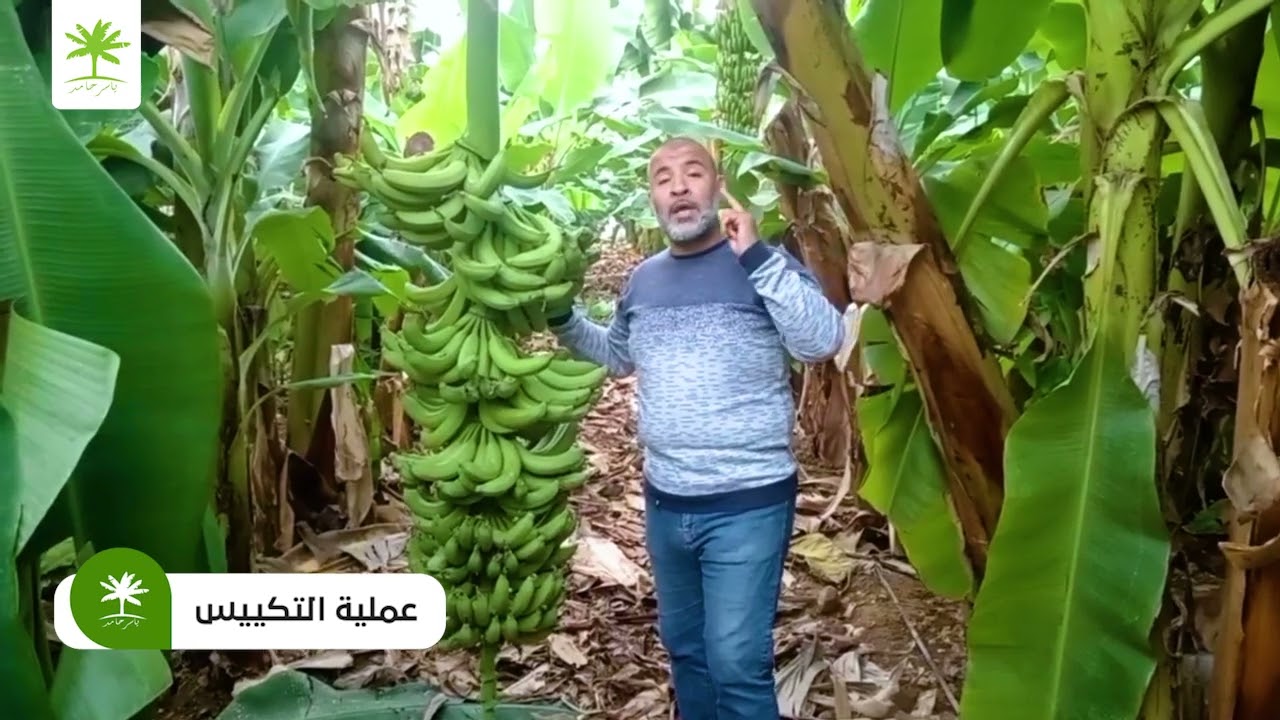 كيف يتم حمايه أرضك من البرود والصقيع
