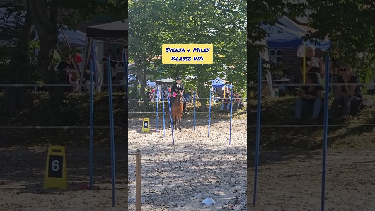 Recap Sommerfest 2025