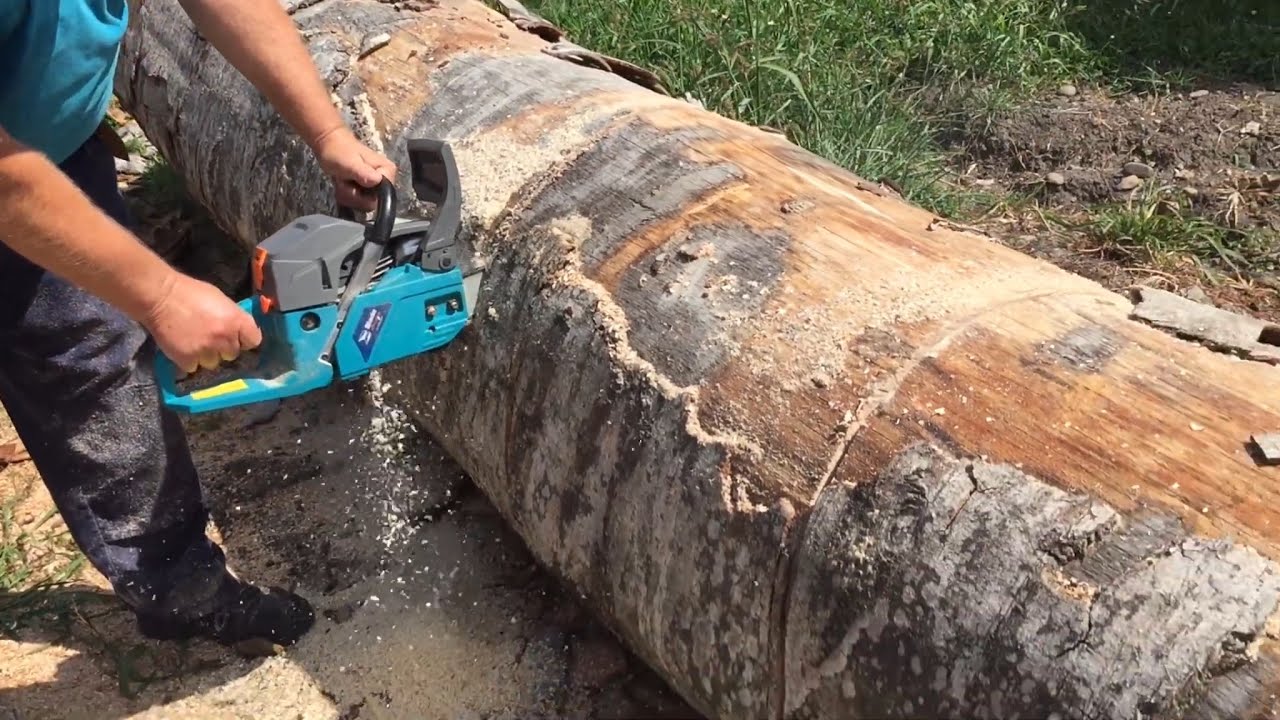 Blade Industrial 600 - Drujba in actiune - Fag de un metru