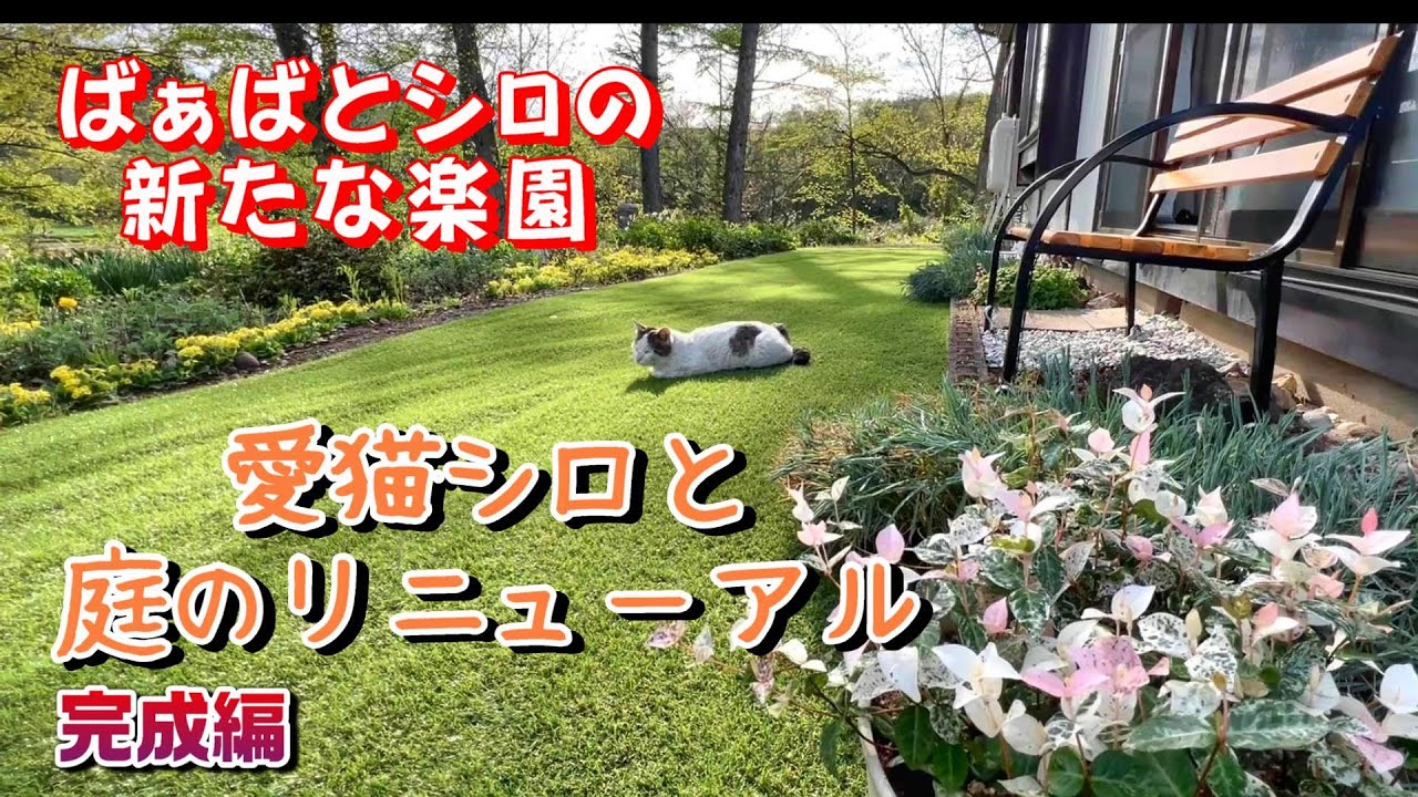 【母の退院準備】庭が一新！快適な人工芝と安全なベンチで愛猫シロも大喜び（完成編）【オリジナル曲】