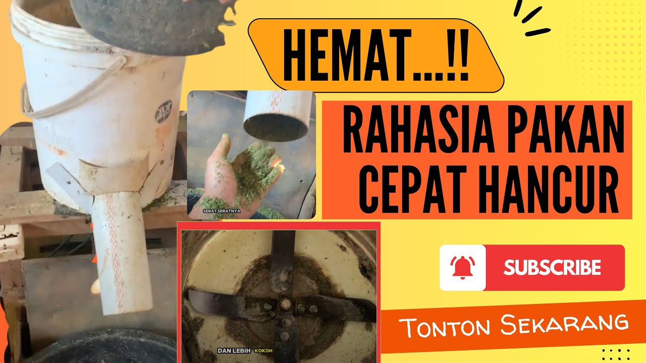 RAHASIA Pakan Cepat Hancur ! Pencacah Pakan dari Dinamo Bekas (Part 2) - Pisau Super Tajam dan Kuat