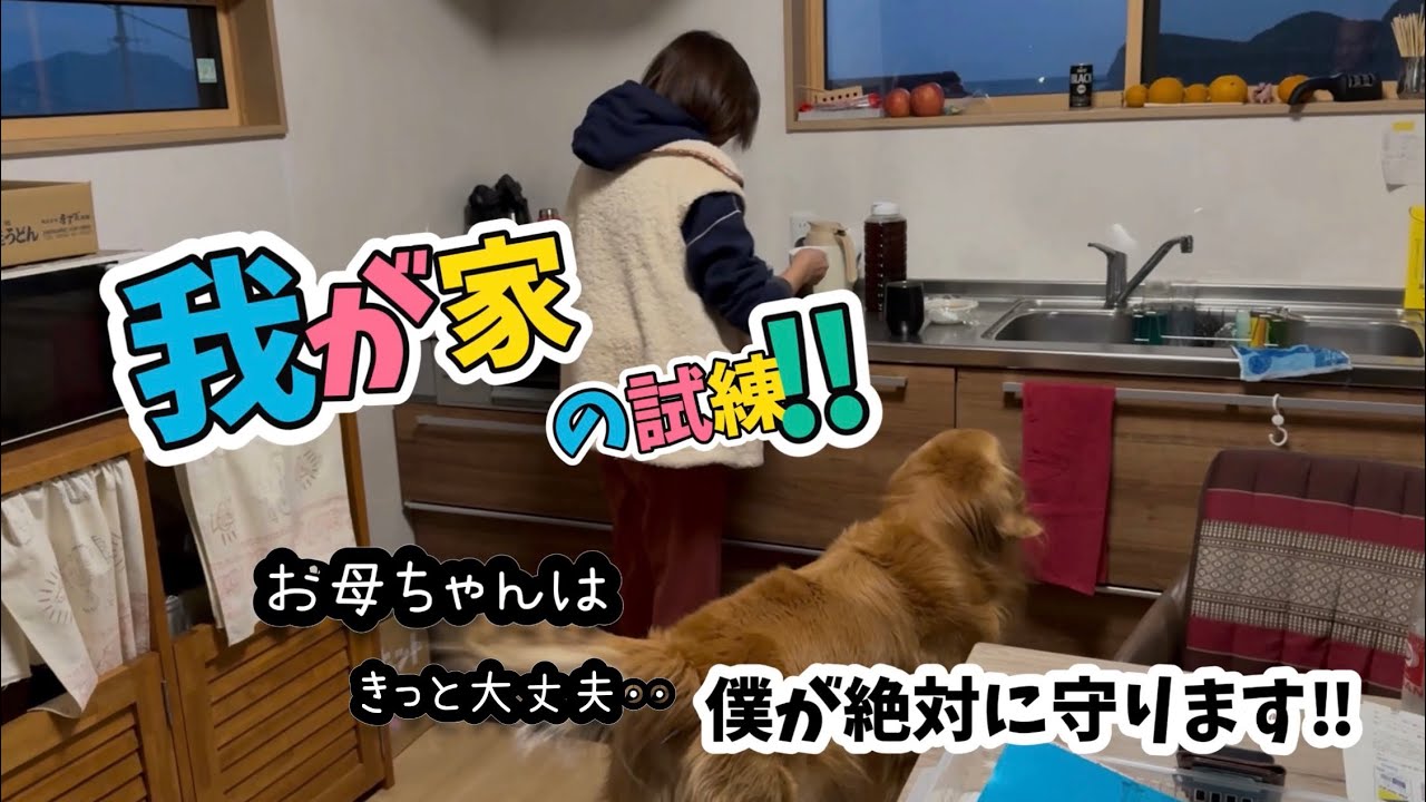 【家族の試練】絶対に負けません‼︎お母ちゃんは必ず守ります。