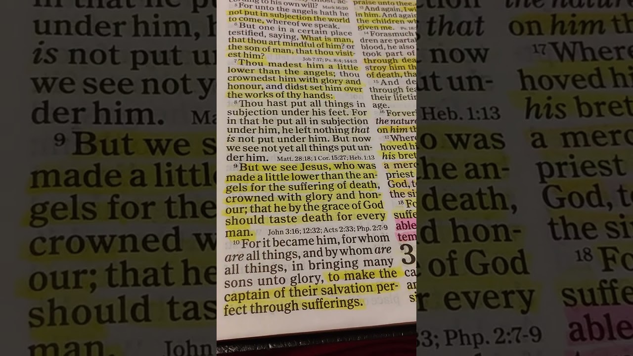 Reading Hebrews chapter 2 