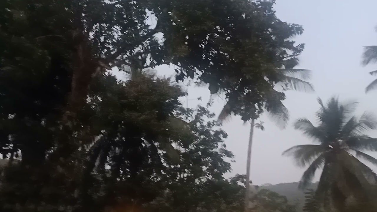 COORG HOSTEL ZOSTEL .