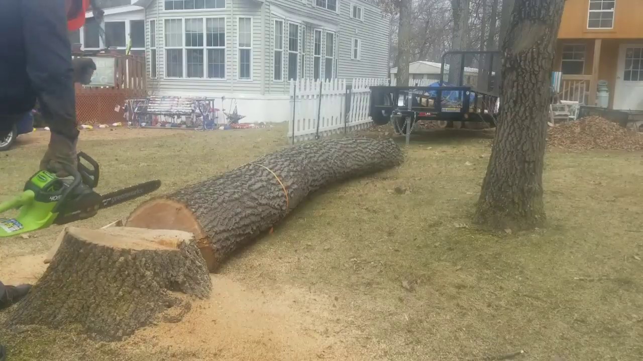 Greenworks 40V chainsaw cutting a big oak log!