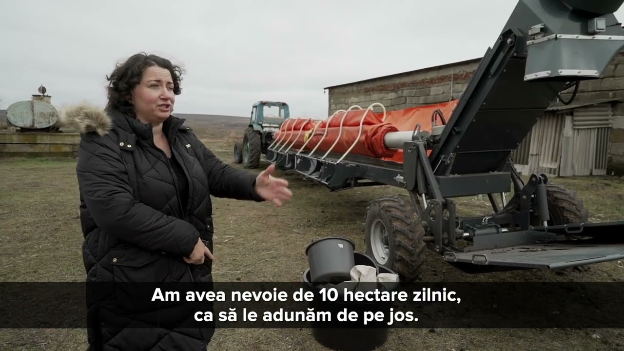 Livada de migdali din Tomai