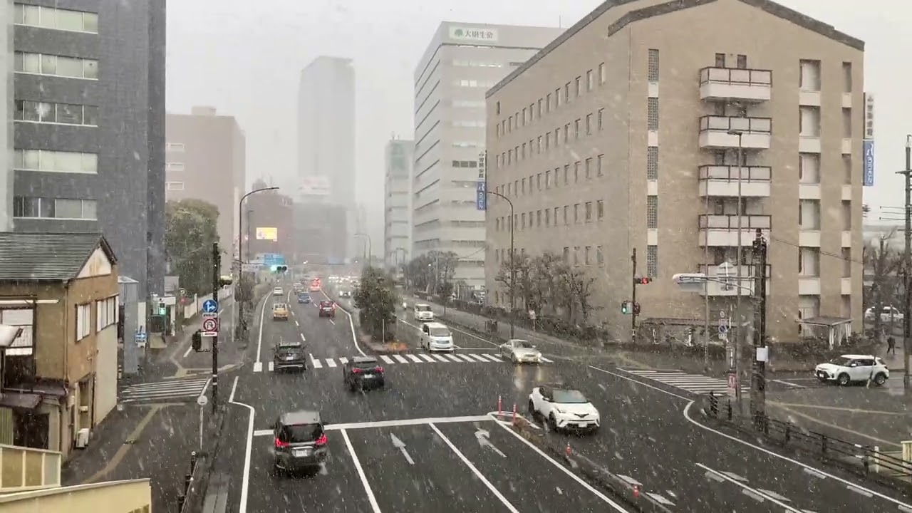 静岡市の雪2026-02-08