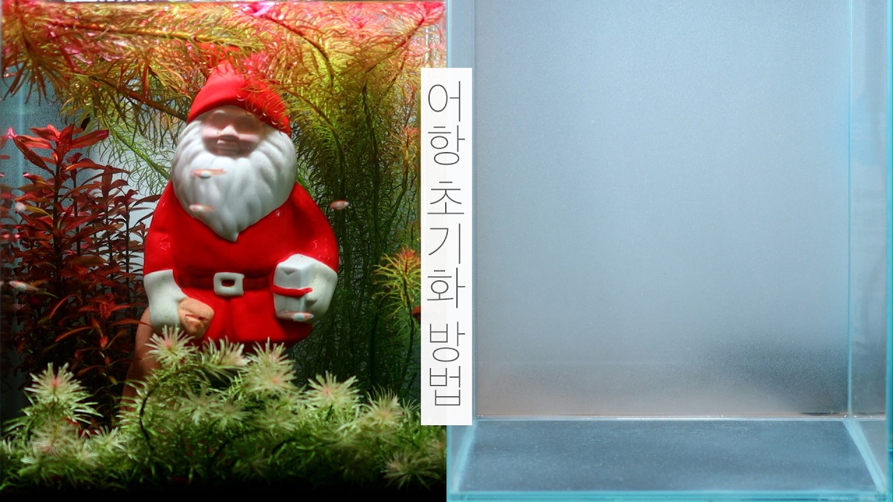 어항 초기화 방법 | 물멍 | How to Take down an Aquarium | MulMung