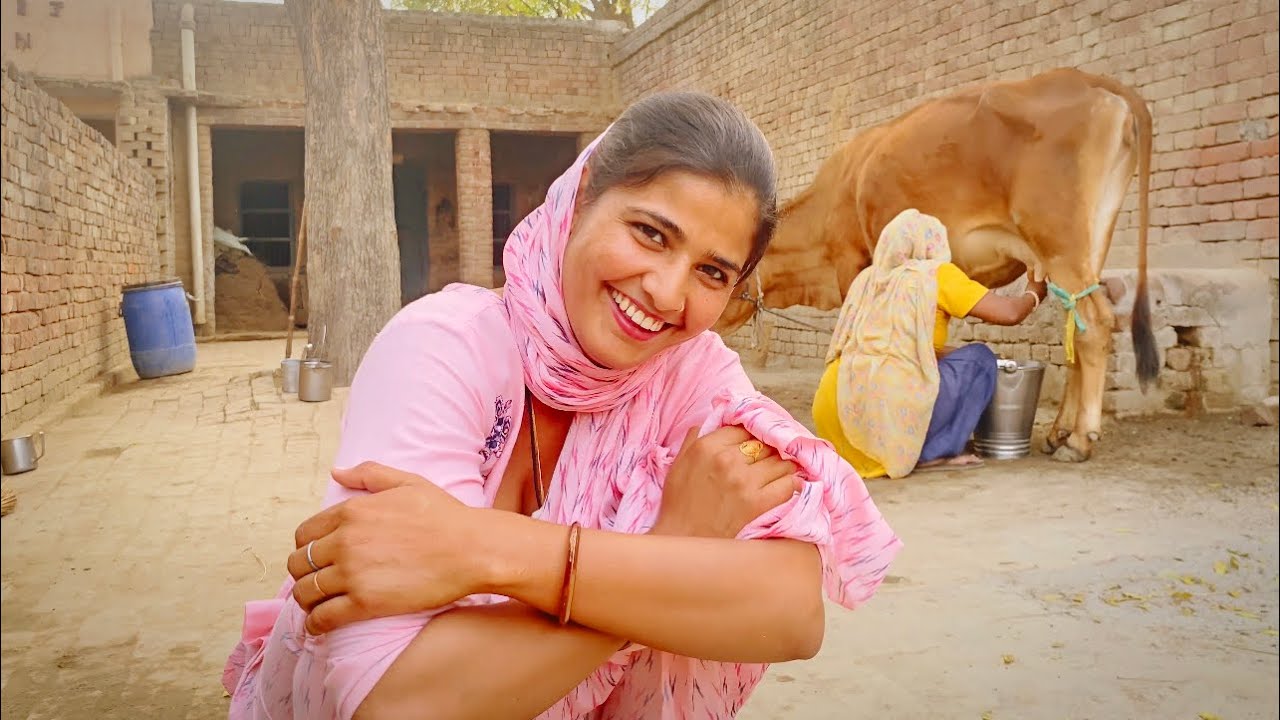 आज तो गाय का दूध निकाल ही दिया | Cow Milking | Village Vlog